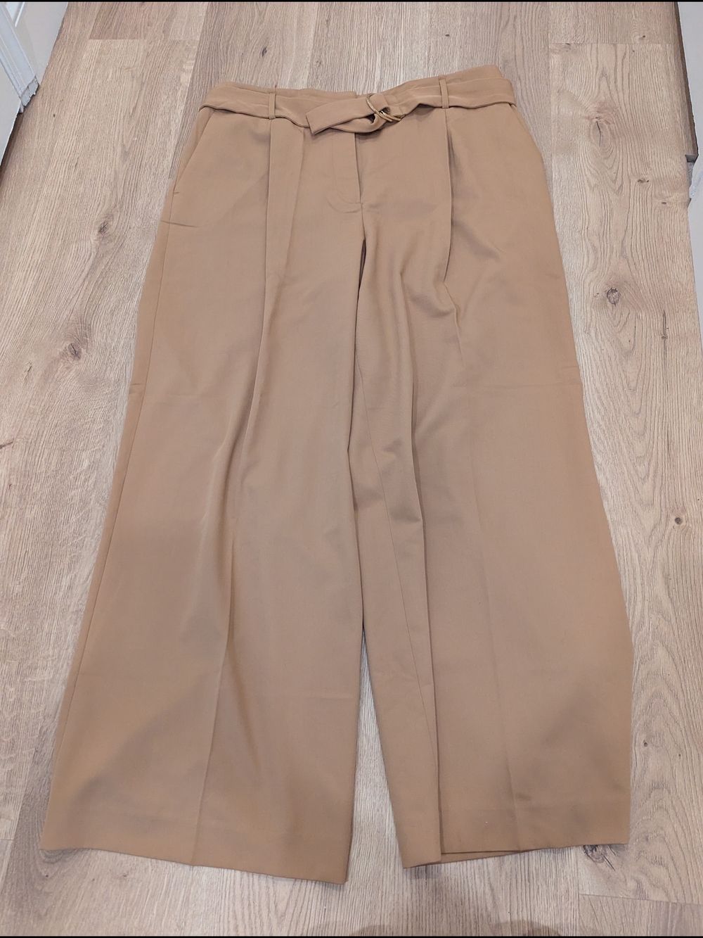 Ann Taylor Wide-Leg High Waist Pants in Tan